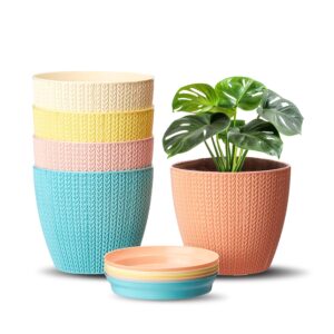 amazon brand solimo indoor and outdoor round 5 inch/12.9cm flower planter pot best for terrace/balcony/home/office décor set of 5