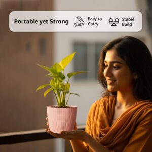 amazon brand solimo indoor and outdoor round 5 inch/12.9cm flower planter pot best for terrace/balcony/home/office décor set of 5