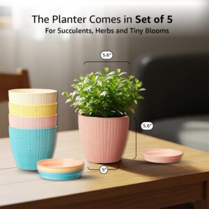 amazon brand solimo indoor and outdoor round 5 inch/12.9cm flower planter pot best for terrace/balcony/home/office décor set of 5